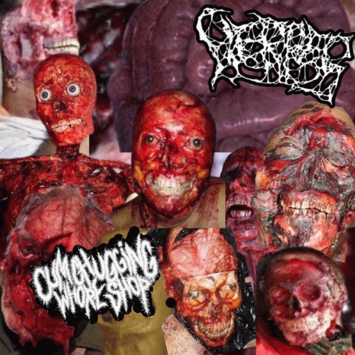 Herpes (USA) : Herpes x CxCxWxSx